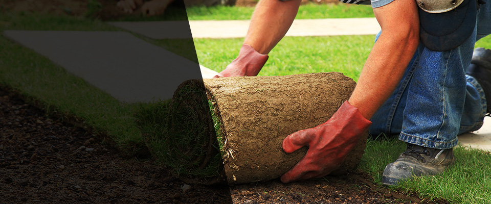 Natchitoches Landscapers